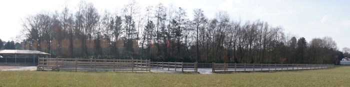 HM Stables - Hans Meganck