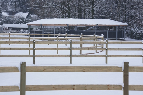 HM Stables - Hans Meganck