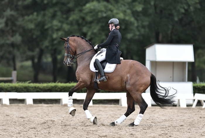 HM Stables - Hans Meganck - Evita