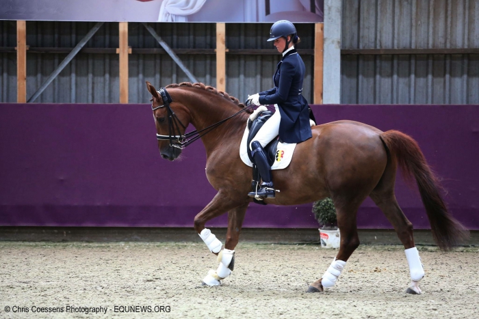 HM Stables - Hans Meganck - Cylandro (in België gebleven)