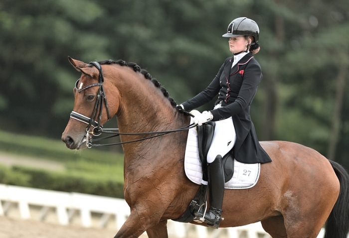 HM Stables - Hans Meganck - Evita