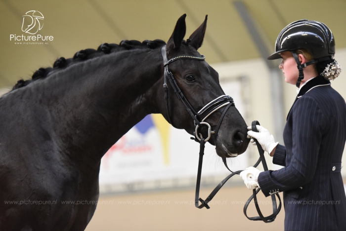 HM Stables - Hans Meganck - Nouvelle