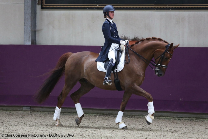 HM Stables - Hans Meganck - Cylandro (in België gebleven)