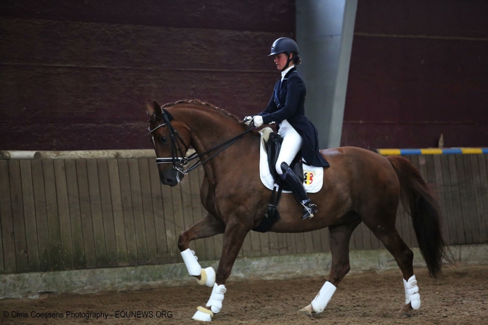 HM Stables - Hans Meganck - Cylandro (in België gebleven)