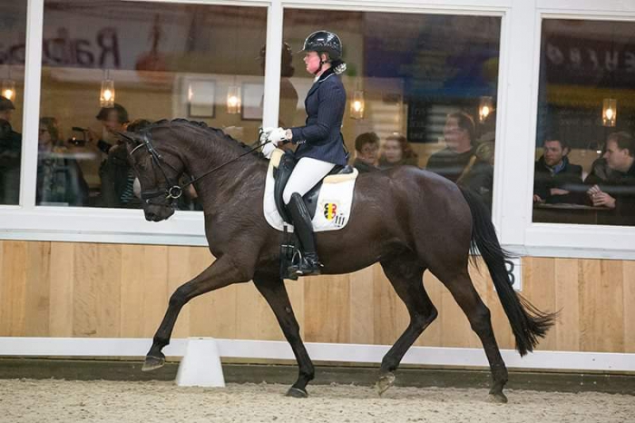 HM Stables - Hans Meganck - Misses Donovan