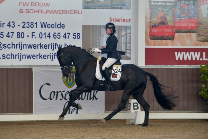 HM Stables - Hans Meganck - Nouvelle