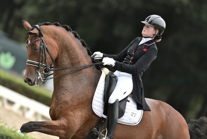 HM Stables - Hans Meganck - Evita