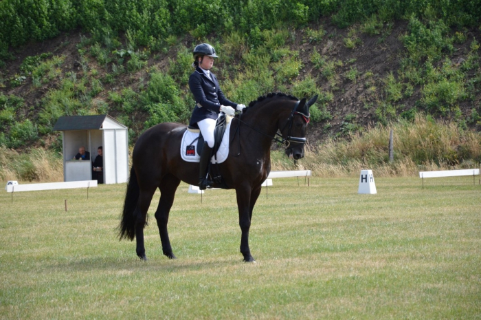 HM Stables - Hans Meganck - Nouvelle