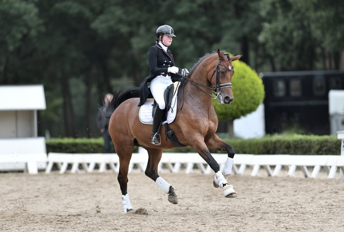 HM Stables - Hans Meganck - Evita