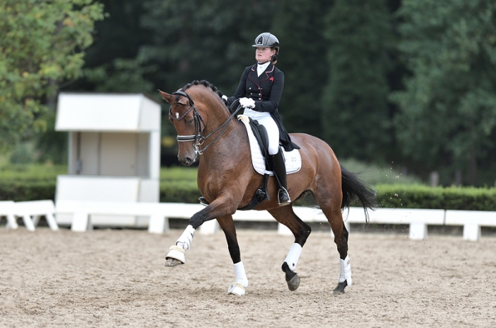 HM Stables - Hans Meganck - Evita