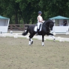 HM Stables - Hans Meganck