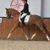 HM Stables - Hans Meganck