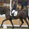 HM Stables - Hans Meganck